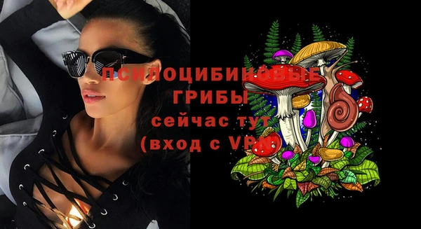 МДМА Козельск