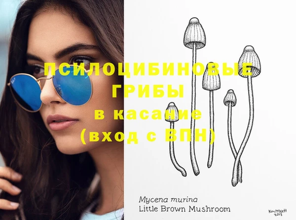 кокс Козловка