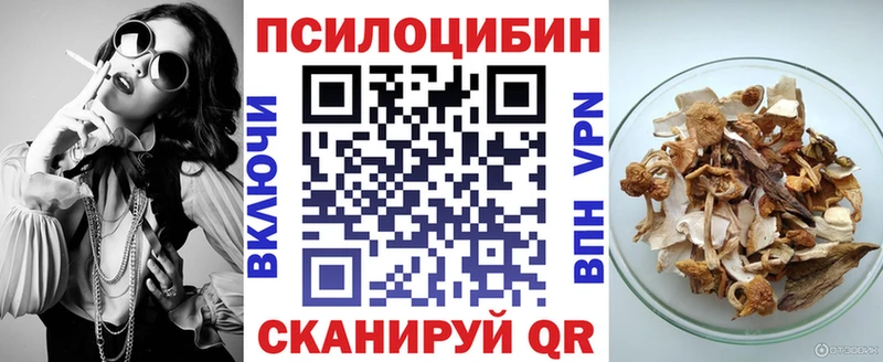 Галлюциногенные грибы Psilocybine cubensis  Купить закладки  Партизанск 