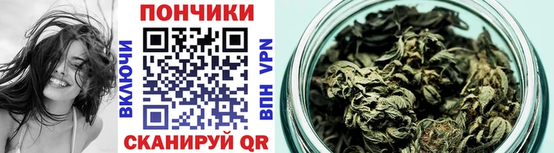 Купить закладки  Партизанск  Шишки марихуана планчик 